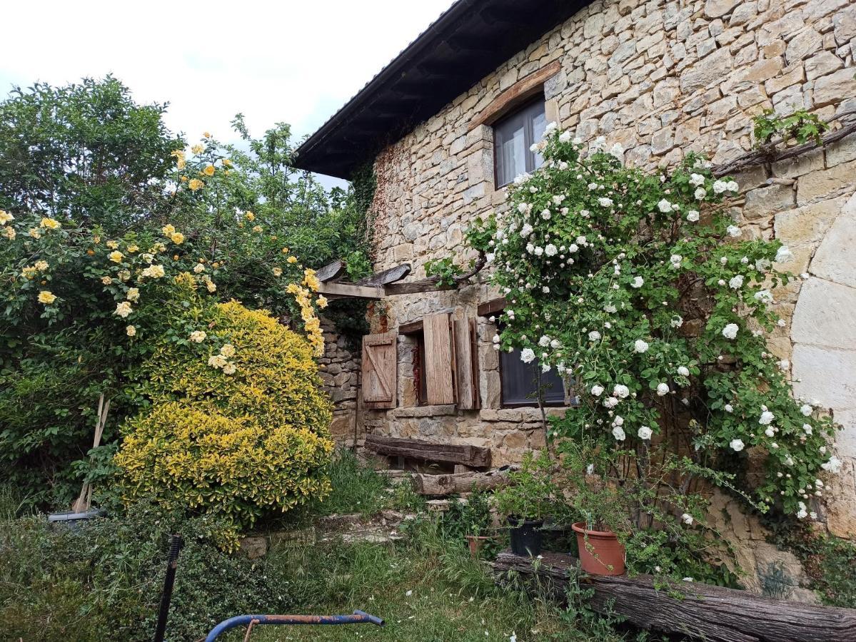 Casa Rural Ttipiaenea Landetxea Ariz  エクステリア 写真